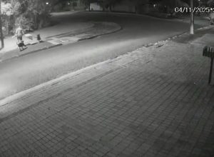 ataques-de-caes-deixam-duas-pessoas-feridas-e-viram-caso-de-policia-em-cascavel