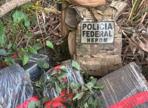 policia-federal-apreende-quase-93-kg-de-maconha-a-beira-do-lago-de-itaipu