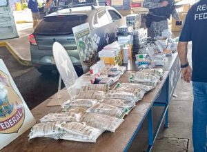 acao-resulta-na-apreensao-de-anabolizantes,-celulares-e-agrotoxicos-em-foz-do-iguacu