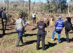 homem-e-preso-em-reboucas-por-destruicao-de-106-hectares-de-mata-atlantica-e-fraude-processual