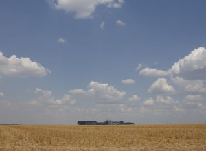 fronteira-cerrado:-desenvolvimento-e-destruicao-no-agronegocio