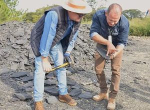 fosseis-mais-antigos-que-dinossauros-paralisam-obra-no-parana