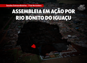 alep-promove-sessao-extraordinaria-neste-domingo-(9)-para-agilizar-repasse-a-rio-bonito-do-iguacu