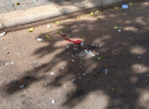 guarda-municipal-prende-suspeito-de-roubo-e-agressao-no-centro-de-cascavel