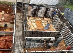 o-bunker-nuclear-em-hospital-que-abriga-tecnologia-radioativa-inedita-na-america-do-sul