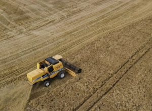 capal-colhe-58,7-mil-toneladas-de-cevada