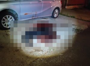 rottweilers-voltam-a-atacar-em-cascavel-e-pm-precisa-intervir;-um-dos-caes-foi-morto