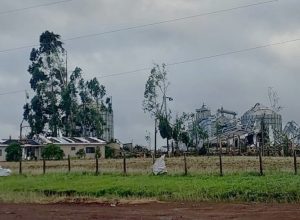 produtores-estimam-r$-150-milhoes-em-prejuizos-apos-tornados-no-parana