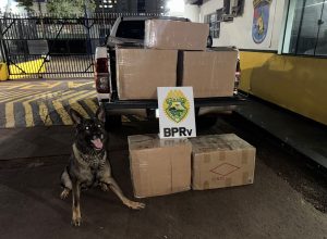 policia-apreende-carga-de-cigarros-eletronicos-avaliada-em-r$-350-mil-na-br-277,-em-cascavel