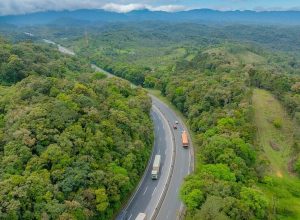 opine:-a-br-277-entre-curitiba-e-litoral-do-parana-melhorou-apos-o-pedagio?