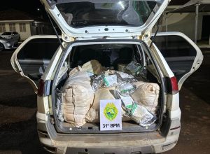 rotam-apreende-veiculo-com-agrotoxicos-contrabandeados-em-assis-chateaubriand