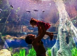 grupo-cataratas-amplia-investimentos-turisticos-com-inauguracao-do-aquafoz