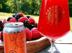 a-cerveja-com-polpa-de-amora-e-morango-eleita-melhor-do-brasil