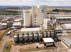 agraria-investira-r$-1,1-bilhao-em-maltaria-no-parana
