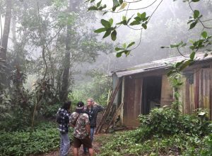 quilombolas-preservam-92%-da-vegetacao-nativa-na-amazonia