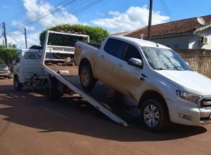 policia-civil-de-campina-da-lagoa-identifica-autor-que-atropelou-e-matou-cao-e-apreende-veiculo