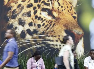 sociedade-civil-critica-rascunho-de-documento-final-da-cop30