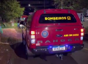 crianca-de-3-anos-e-atacada-por-cachorro-enquanto-brincava-em-casa-no-bairro-presidente