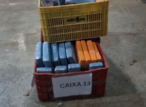 motorista-em-surto-e-preso-com-carro-furtado-e-239-kg-de-maconha-em-foz-do-iguacu