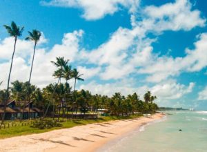 londrina-tera-voos-diretos-para-maceio-durante-o-verao