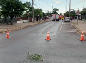 carga-de-produtos-importados-irregularmente-e-apreendida-na-br-277-em-santa-tereza-do-oeste