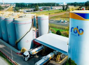 rdp-se-consolida-como-uma-das-maiores-distribuidoras-do-sul