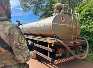 prf-apreende-4-toneladas-de-agrotoxicos-em-caminhao-tanque-de-transporte-de-leite-no-parana