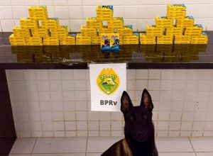 cao-da-pm-indica-mala-com-cigarros-eletronicos-e-passageiro-e-preso-em-cascavel