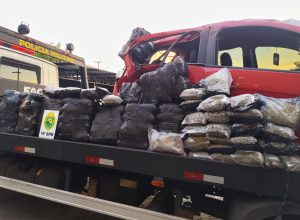 policia-militar-apreende-mais-de-130-kg-de-maconha-apos-acidente-em-toledo