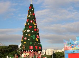 conheca-a-historia-da-arvore-de-natal,-simbolo-das-festas-natalinas