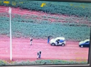 policia-apreende-palio-carregado-com-cigarros-contrabandeados-em-area-rural-de-cascavel