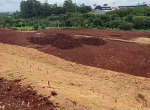 area-de-descarte-do-lago-municipal-de-cascavel-vira-futura-area-de-lazer