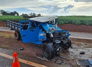 idoso-fica-gravemente-ferido-em-acidente-na-pr-495,-em-santa-helena