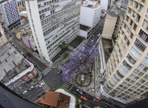 locacao-de-imoveis-comerciais-tem-alta-em-curitiba