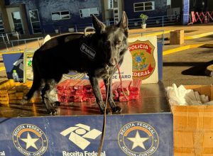 rf-apreende-167-kg-de-maconha-em-duas-acoes-na-ponte-da-amizade-em-foz-do-iguacu