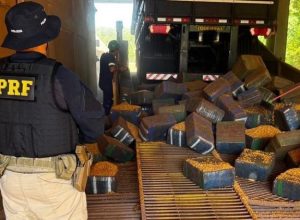 prf-apreende-mais-de-2,5-toneladas-de-maconha-na-br-163-em-guaira