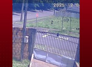 jovem-e-atacada-na-regiao-do-lago-em-cascavel-e-familia-pede-reforco-na-seguranca