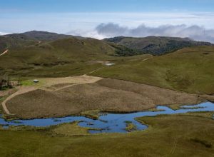 prefeito-e-deputados-reagem-contra-criacao-de-parque-nacional-na-mata-atlantica-entre-pr-e-sc