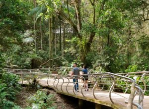 5-passeios-em-foz-do-iguacu-para-alem-das-cataratas