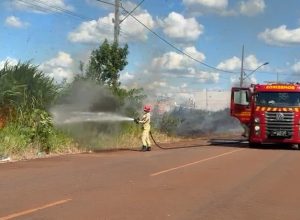 incendio-em-vegetacao-atinge-as-margens-da-pr-486-e-mobiliza-bombeiros-em-cascavel