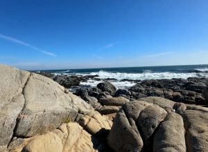 vina-del-mar-encanta-com-praias,-historia-e-clima-de-verao-no-litoral-do-chile