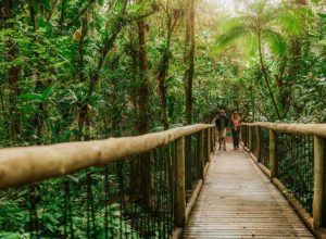o-que-fazer-com-as-criancas-no-litoral-do-parana-durante-o-verao