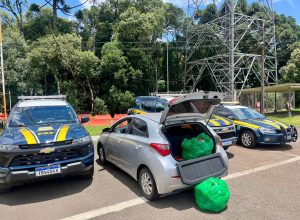 prf-apreende-cerca-de-28-quilos-de-skunk-durante-fiscalizacao-na-br-277,-em-guarapuava