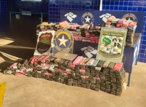 receita-federal-retem-269,5-kg-de-substancia-analoga-a-maconha-em-operacao-conjunta