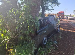 casal-morre-apos-carro-sair-da-pista-e-bater-em-arvore-na-pr-497-em-sao-miguel-do-iguacu