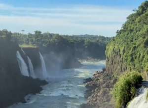 da-lenda-as-telas:-a-historia-por-tras-do-nome-taroba