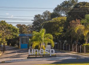 unesp-divulga-lista-de-aprovados-no-vestibular-2026