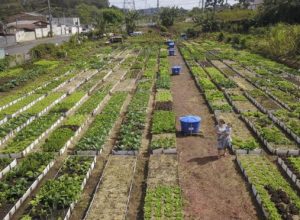 curitiba-entra-na-disputa-para-sediar-conferencia-da-fao