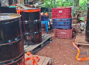 gm-apreende-500-kg-de-maconha-em-entreposto-no-centro-de-cascavel
