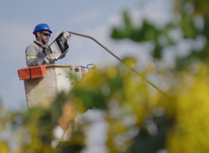 apagoes-na-fronteira:-quedas-de-energia-geram-prejuizos-em-foz-do-iguacu